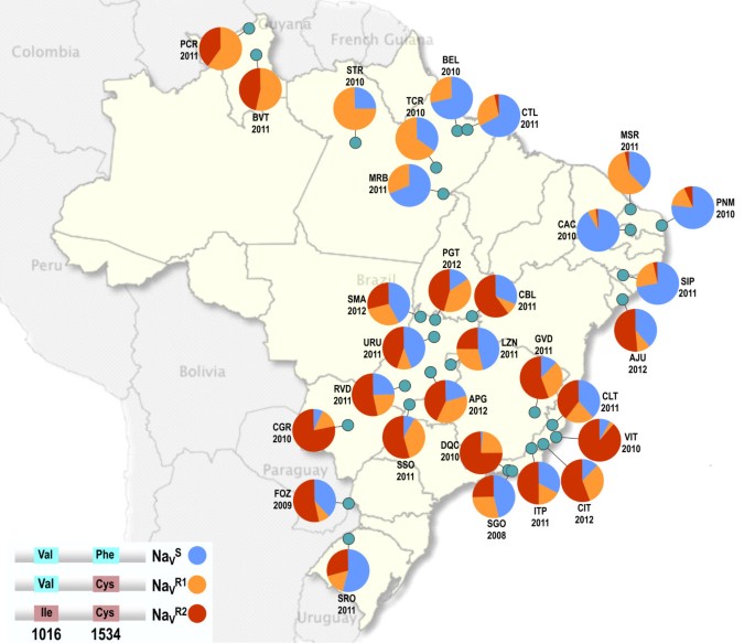 O controle químico do mosquito _Aedes aegypti_ vem dependendo principalmente de inseticidas piretróides, que interagem com o canal de sódio controlado por voltagem no sistema nervoso do animal. Mutações de substituição em sítios específicos da proteína conferem ao mosquito resistência ao inseticida, sendo estas conhecidas como mutações kdr (do inglês, _knockdown resistance_). Retirado de Linss et al ([2014](https://doi.org/10.1186/1756-3305-7-25).